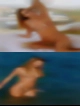 Pussy Everett