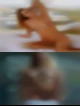 Pussy Lakeland
