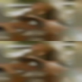 Finding sex buddy Farmington