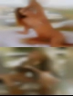 The wettest pussy Asheville