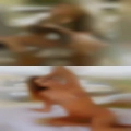 Hairy swap sex
